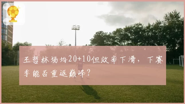 王哲林场均20+10但效率下滑，下赛季能否重返巅峰？