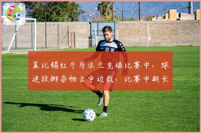 莱比锡红牛与法兰克福比赛中,球迷投掷杂物击中边裁,比赛中断长达15分钟